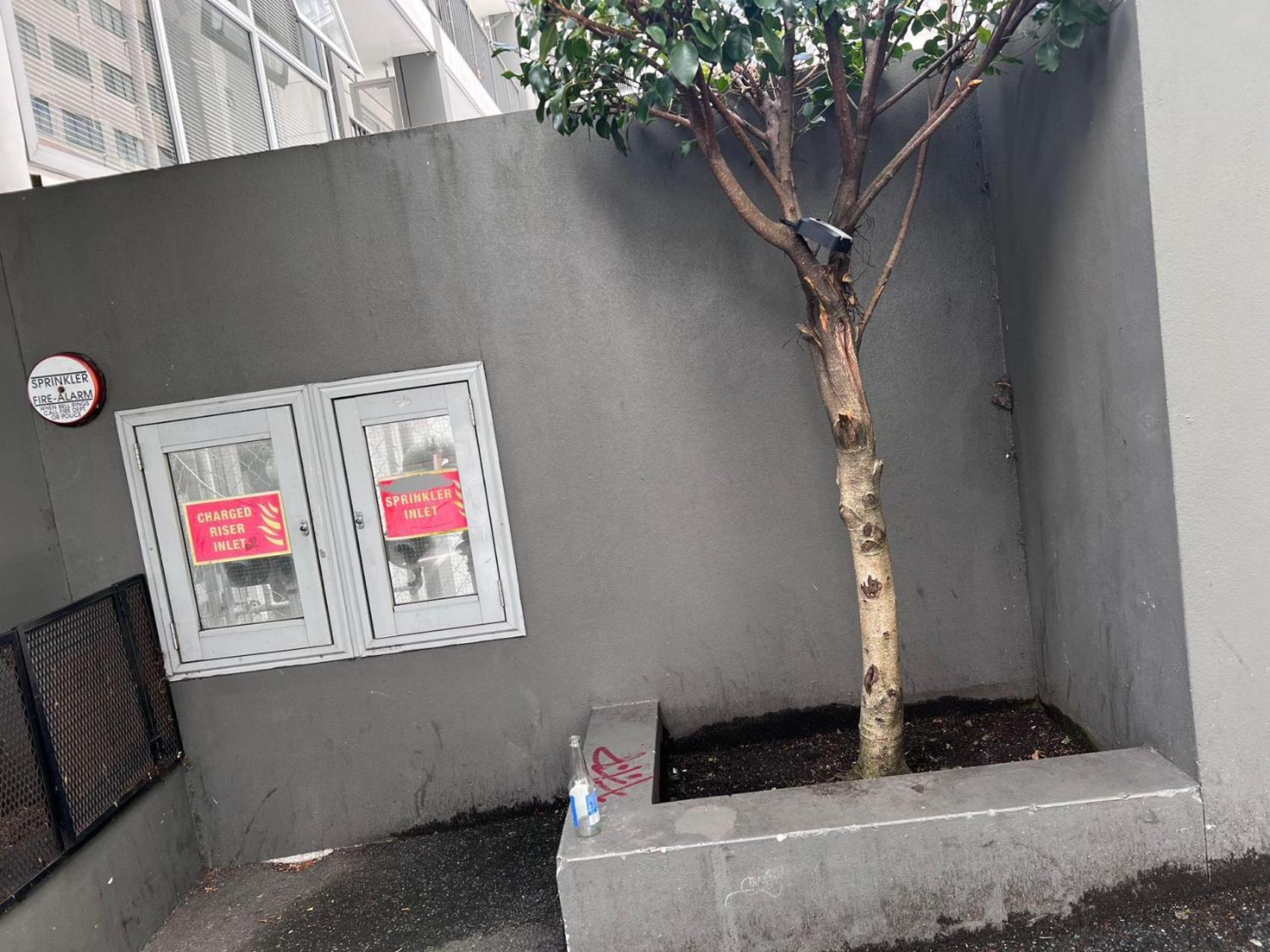 Aura A Two Bedrooms 1 Living Wi-Fi Balcony Harbor View Parking Easy Auckland Exterior photo